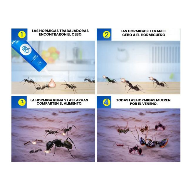 CHAK GEL® - EXTERMINA LAS CUCARACHAS CON UNA SOLA GOTA🪳 - Paga 1 Lleva 2
