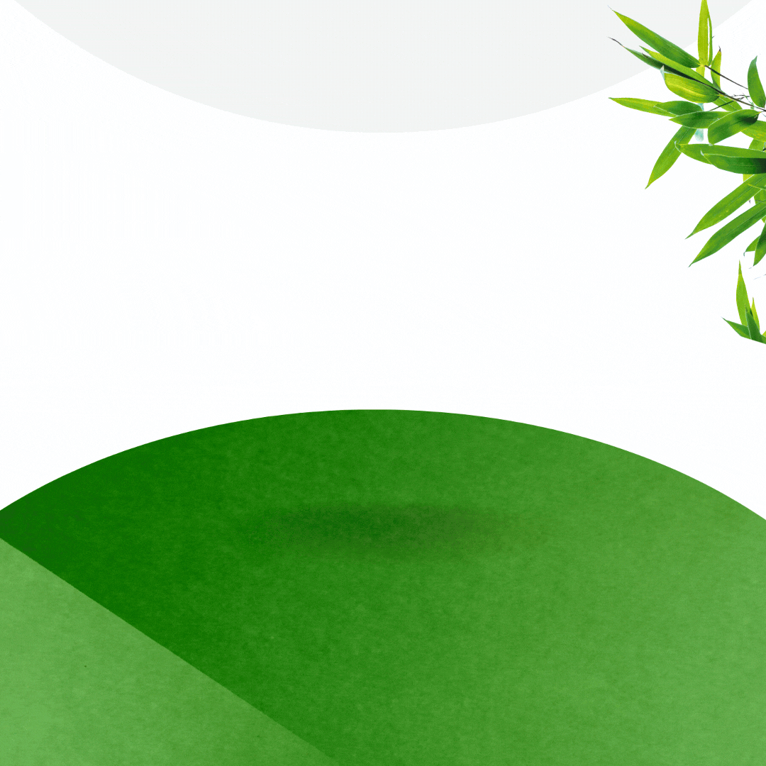 PARCHES DESINTOXICANTES KINOKI™ - OFERTA LLEVA 100 UNIDADES
