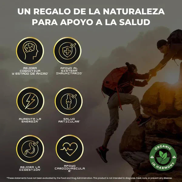 Gomas Shilajit Premium 160g + Energia + Vitalidade e Frete Grátis!