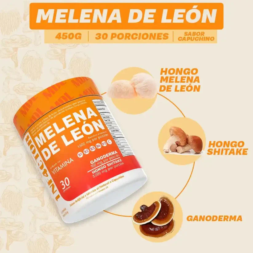 F - Melena de Léon: El hongo medicinal que está revolucionando la salud cognitiva.