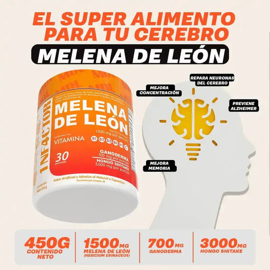 F - Melena de Léon: El hongo medicinal que está revolucionando la salud cognitiva.